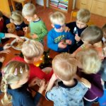 phoca_thumb_m_motlci 60 Fotogalerie